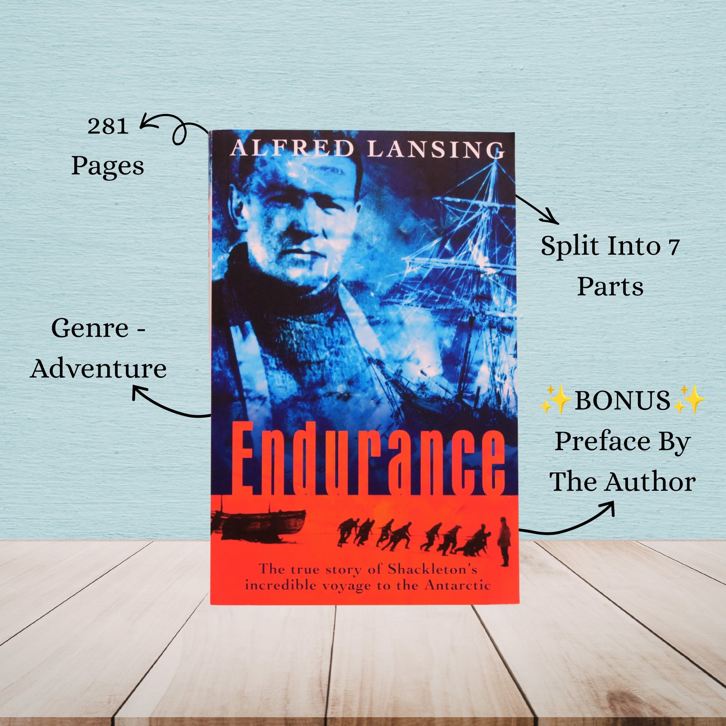 Endurance | Alfred Lansing